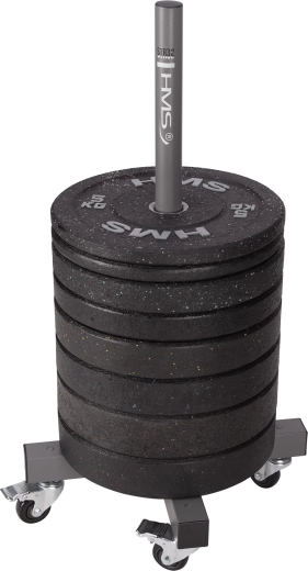 Vertical storage for 50 mm Olympic plates