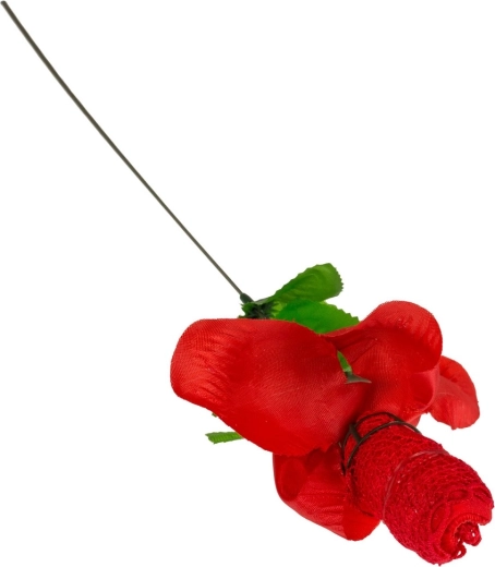 Romantiska dekoratīva roze
