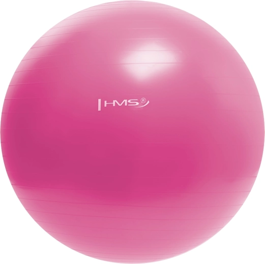 Vingrošanas bumba HMS 55 cm rozā