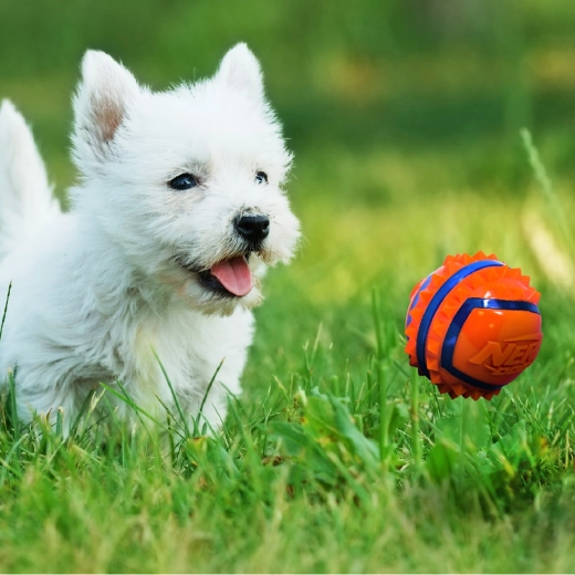 Augsta redzamība āra rotaļās