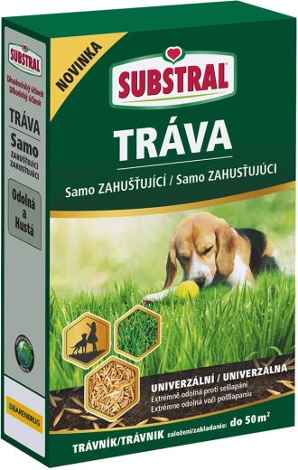 Self-thickening lawn seed mix EVERGREEN 1 kg