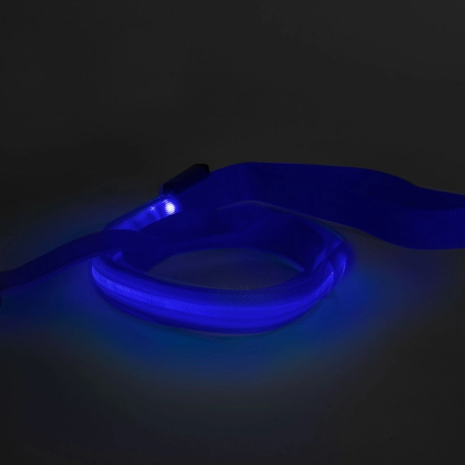 LED pavada ar akumulatoru, 120 × 2,5 cm, zila