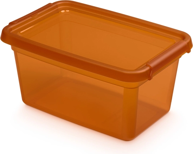 Basestore uzglabāšanas kārba ar vāku un klipšiem 4,5 l, dzintara krāsā