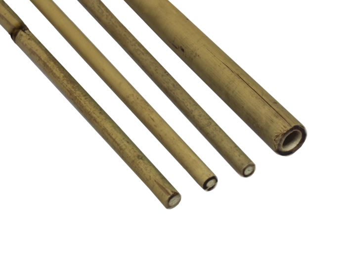 Bambusa mietiņi 90 cm, diametrs 12–14 mm