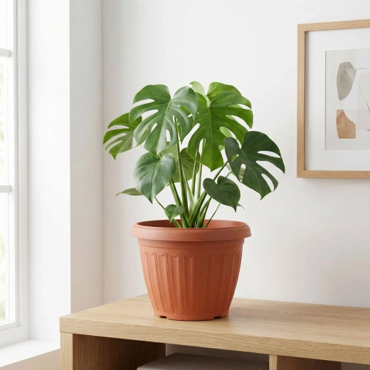 Plastmasas puķu pods terakotas krāsā, 25 cm