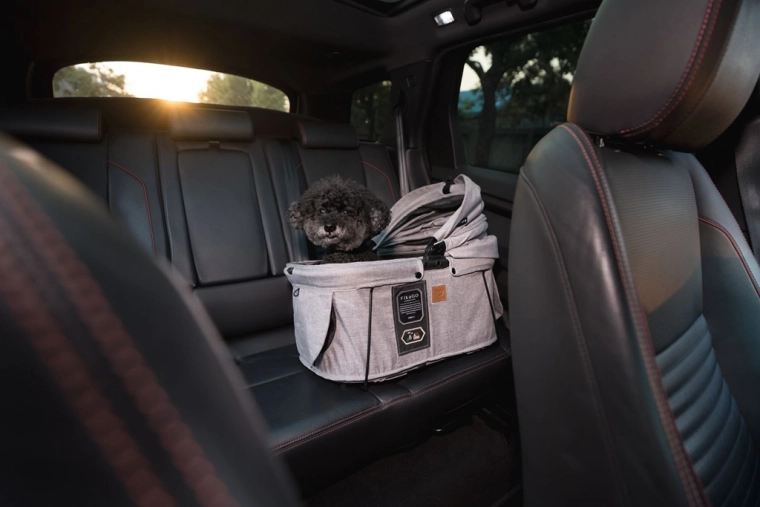 Safety in the car and on the go