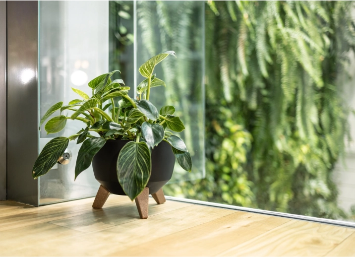 Elegant look in any space