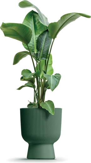 Practical removable insert and drainage