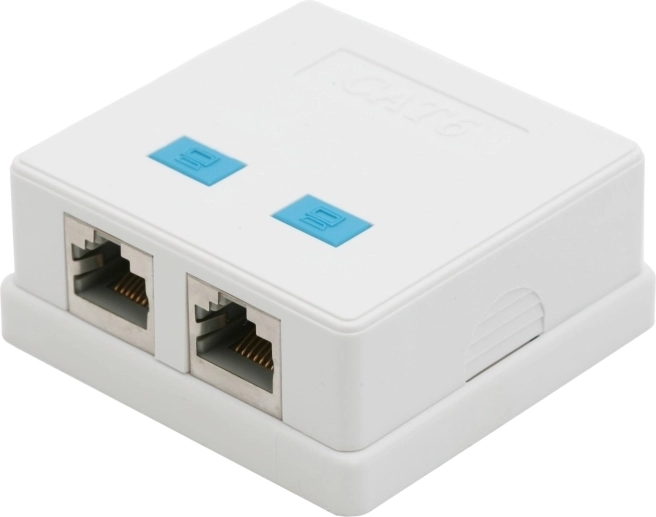 Double Wall-Mounted RJ45 Cat.5 FTP Socket