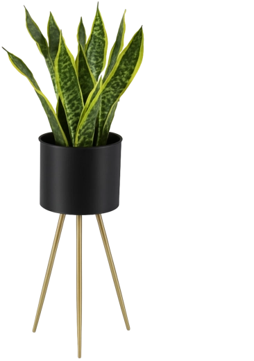 Elegants metāla puķu statīvs 60 cm, melns ar zelta kājām