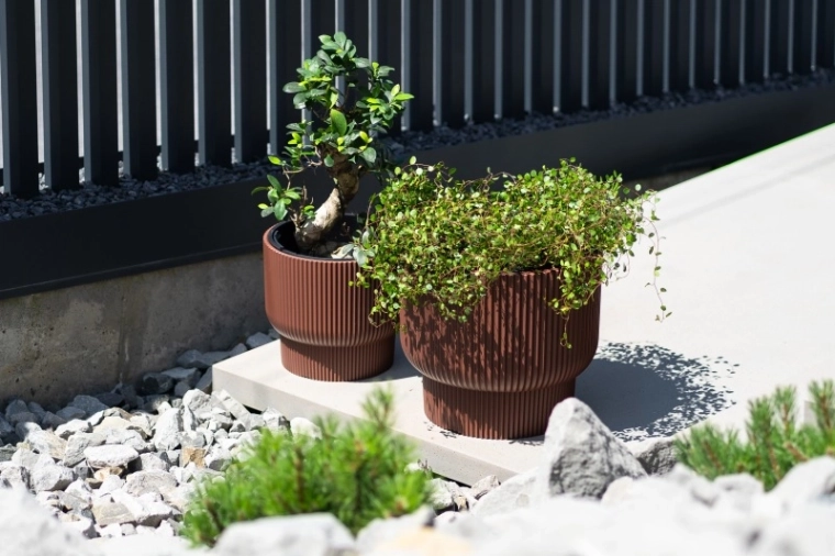 Practical insert for quick planting