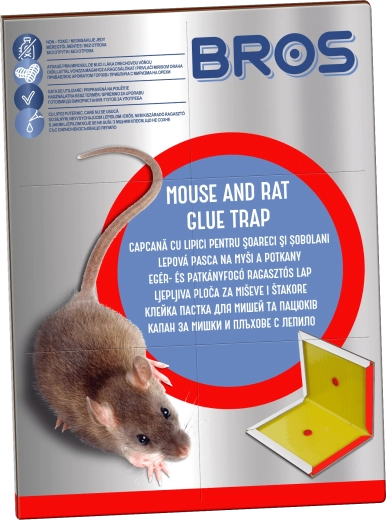 Bros Glue Trap for Mice and Rats