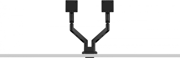 BenQ Ergo Arm BDL01 dual monitor mount