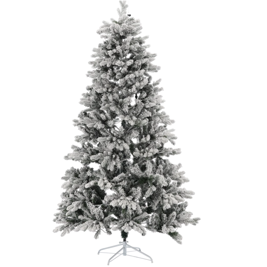 Apsniguši zari ziemas noskaņai