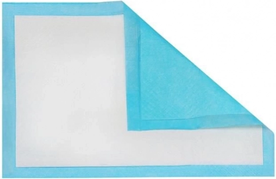 Necaurejošs apakšslānis