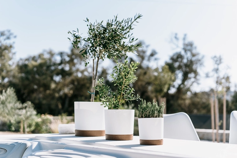 Compact size for small plants