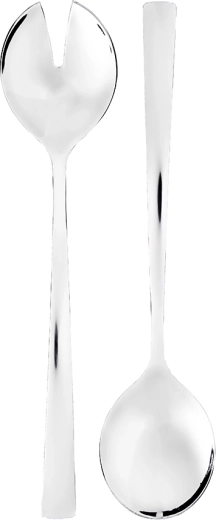 Future set of two stainless steel salad spoons