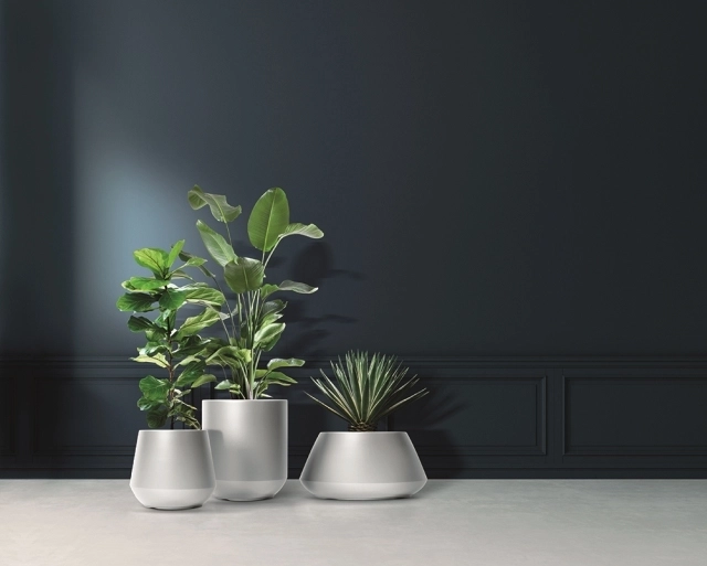 Modern look that highlights greenery