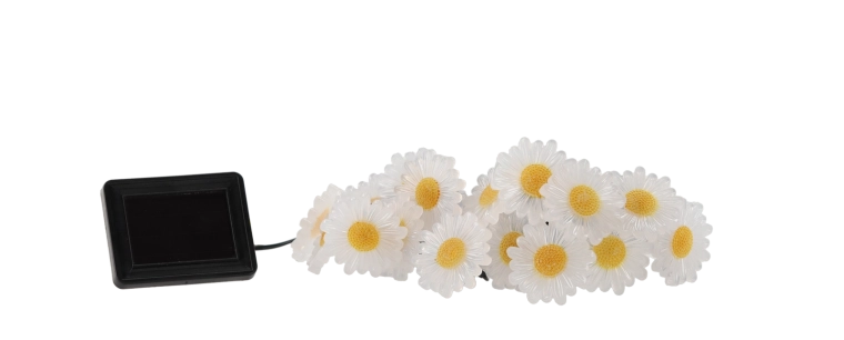 Burvīga ziedu atmosfēra
