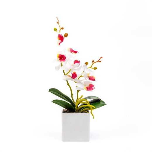 Maintenance-free decoration
