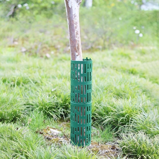 Protection for young tree trunks