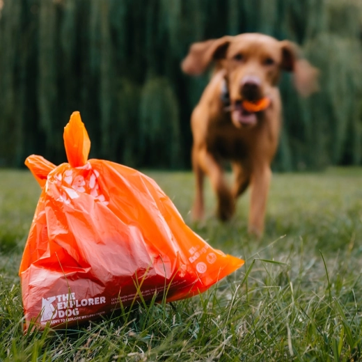 Spilgta krāsa un droša aizsiešana