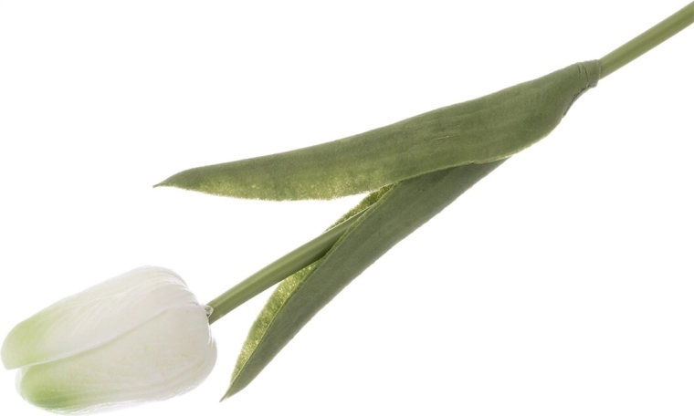 Plastmasas tulpes (UH) balta/dzeltena 33 cm