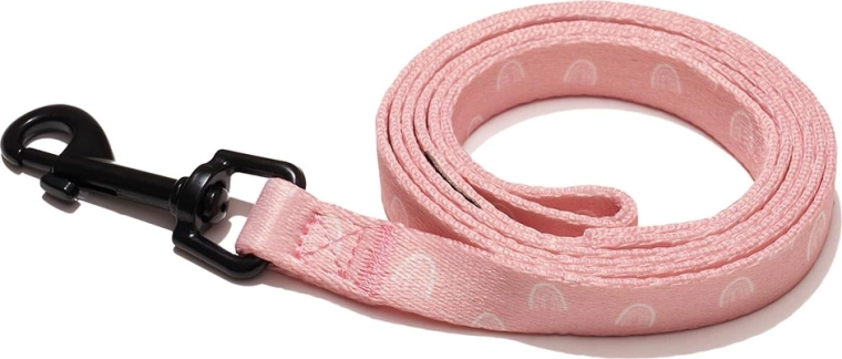 Explorer Dog leash Rainbow L 170 × 2.5 cm