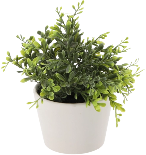 Artificial boxwood in a white flowerpot, 30 cm