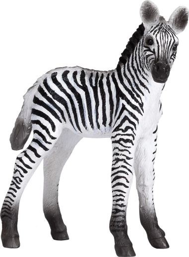 Reālistiska zebras mazulīša figūriņa