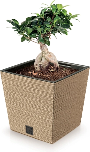 Lightweight yet sturdy ECO material