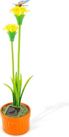 Cheerful floral decoration