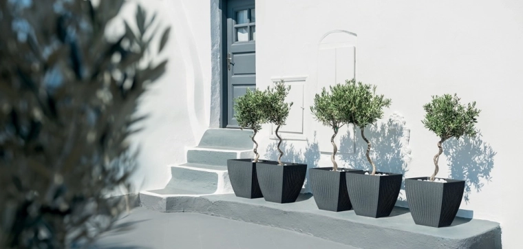 Stands out at the entrance and on the terrace