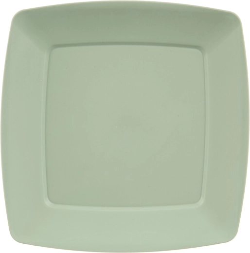 Shallow plastic plate Sandy, green, 23.5 × 23.5 cm