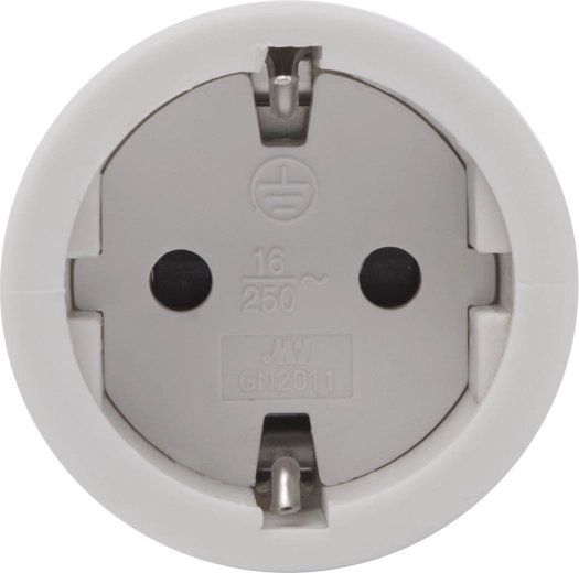 Grounded socket