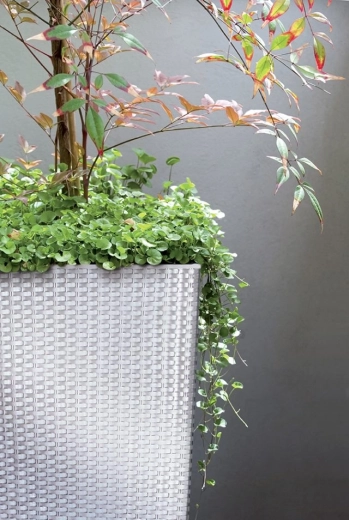 Modern rattan texture for indoors and outdoors