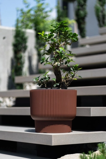 Lightweight and durable plastic for indoors and outdoors