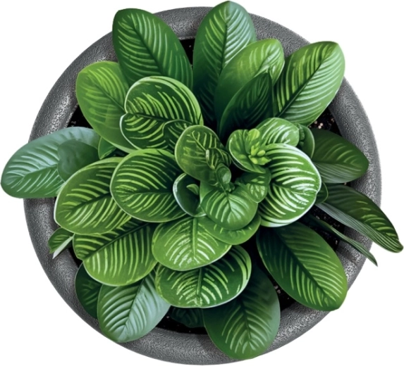 Ideāli piemērots telpu un āra augiem