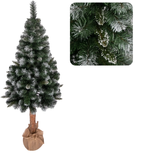 Maigs apsnigušu zariņu efekts