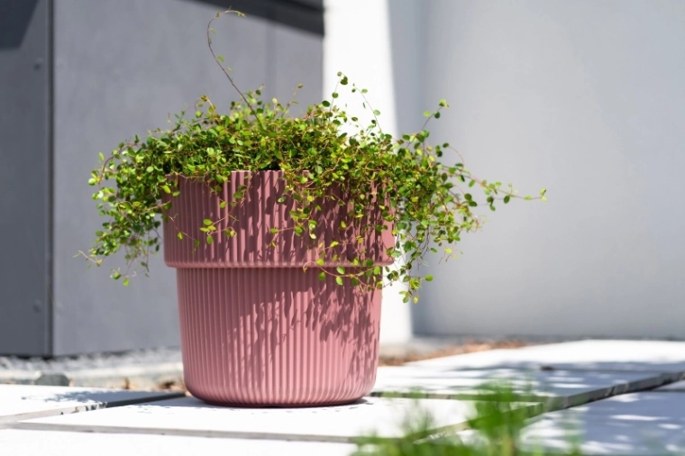 Modern ribbed design for interiors and terraces