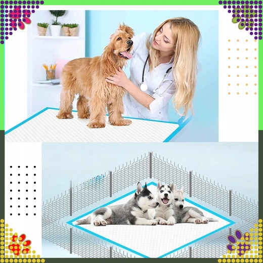 Tīrība mājās un ceļā