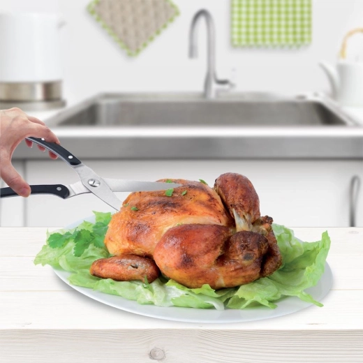 Viegla vistas un citu mājputnu porcēšana