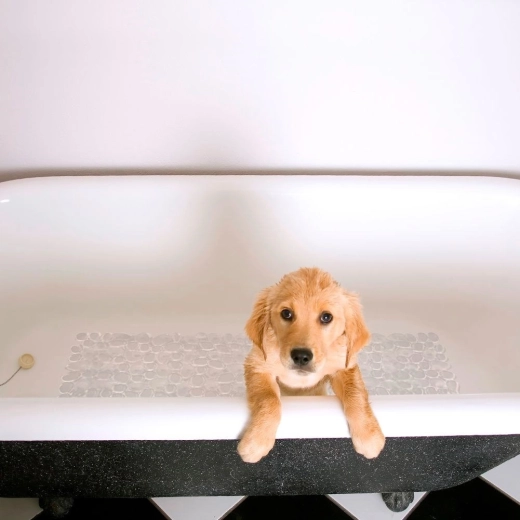 Komforts un pēdu aizsardzība