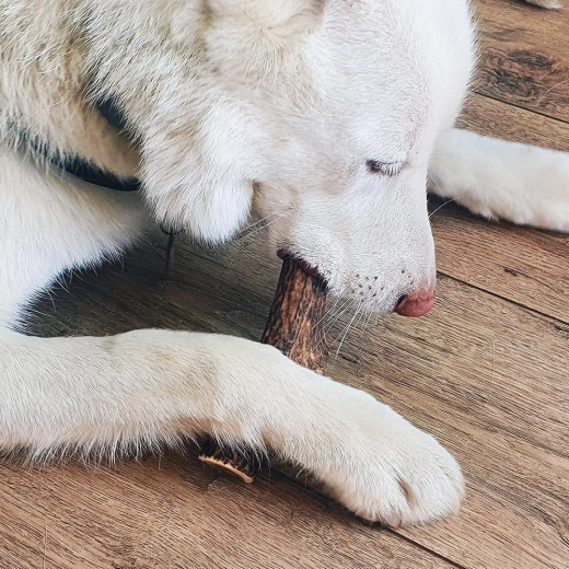Supports clean teeth with every bite