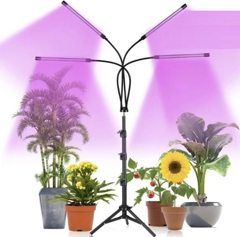Sarkanās un zilās LED fotosintēzes atbalstam
