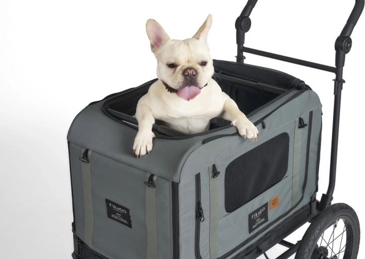 Sturdy and safe carrier for your dog’s peace of mind