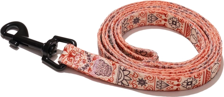 Explorer dog leash Heart, size S (120 × 1.5 cm)