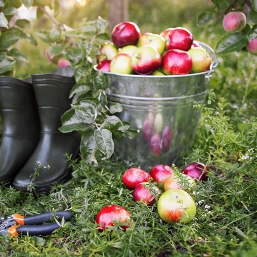 Versatile use at home, in the garden, and on the construction site