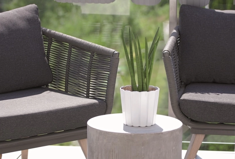 Ideal for windowsills and terraces