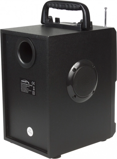 Plašas pieslēgumu iespējas un FM radio